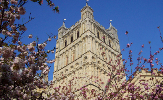Exeter Cathedral Tower viewed through cherry blossom